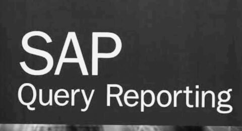 sAP QUERY REPORTING